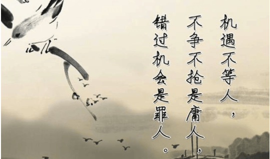 淘客app軟體開發，淘客app軟體