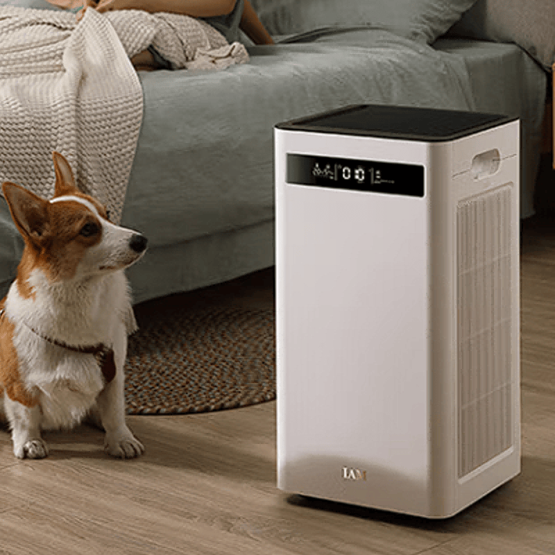 空氣清淨機可以消除二手菸嗎？6大爆款除二手菸空氣清淨機測評