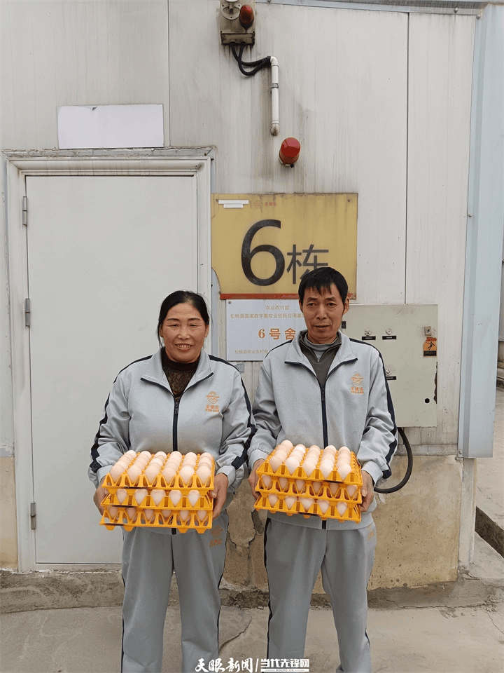 【天眼微鏡頭·現場直擊】20名飼養員“拿下”百萬羽蛋雞養殖場工作｜原來是機器人在助攻