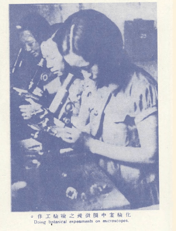 收藏大佬張信哲&貝聿銘妹妹貝洽，揭開上海老錢的財富冰山