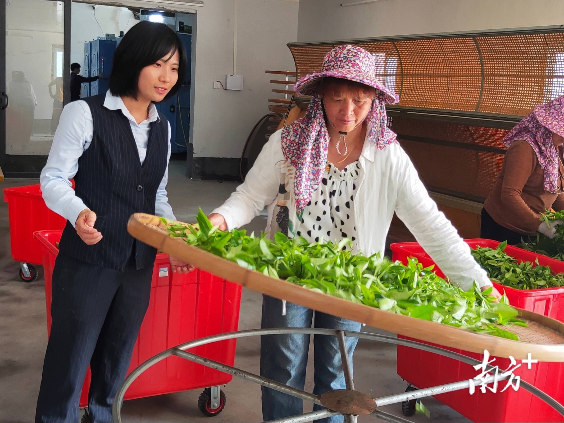 在潮州，美食也有專屬的“金融套餐”