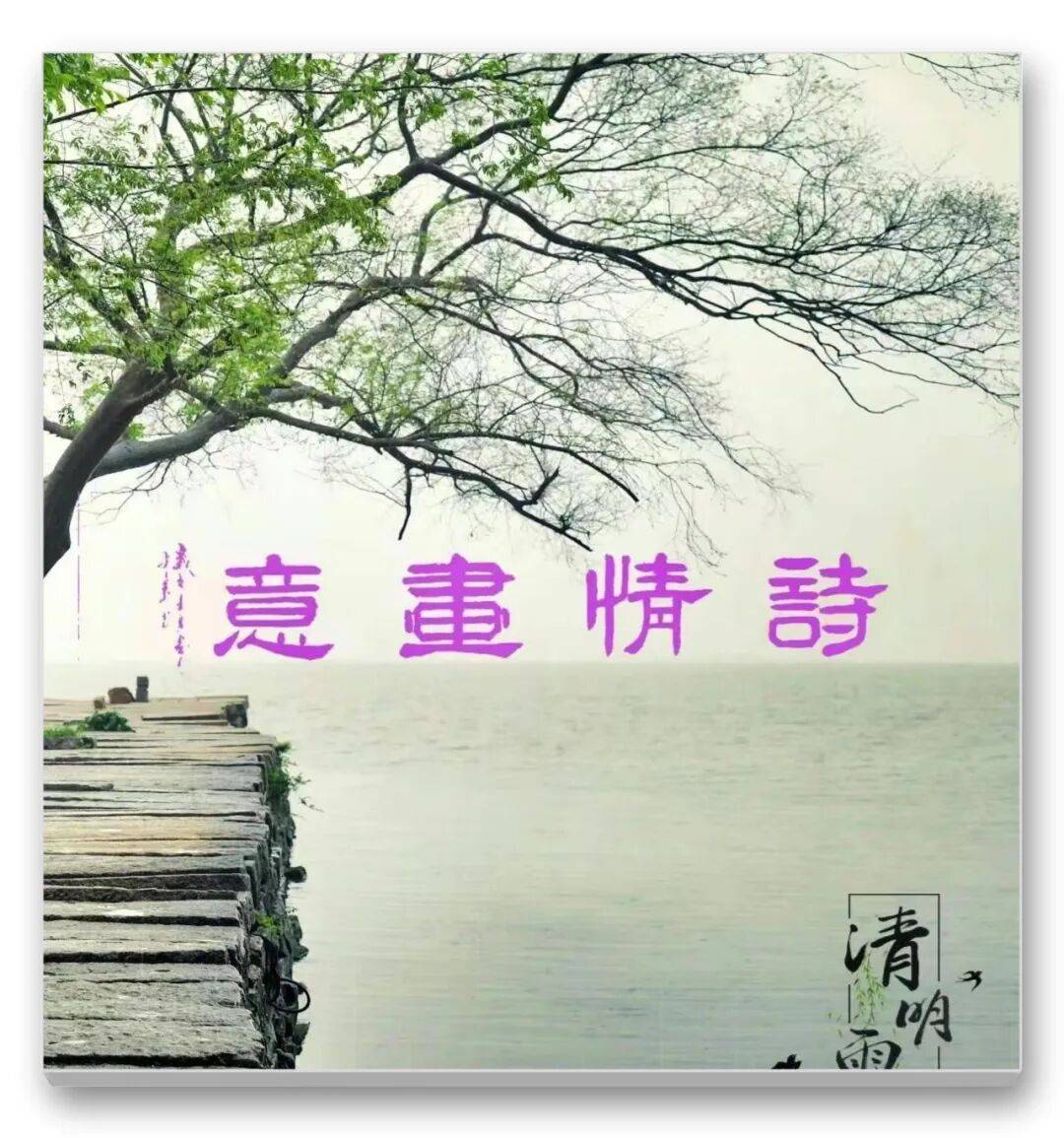 品讀中國書法名家——王才軍